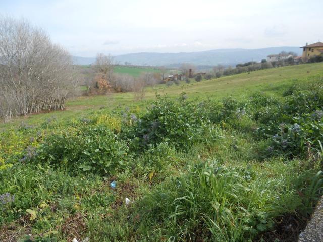 Terreno in vendita a Venticano, Campania