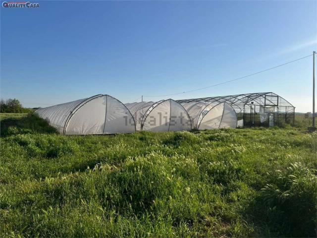 Terreno in vendita a Marche, Ancona