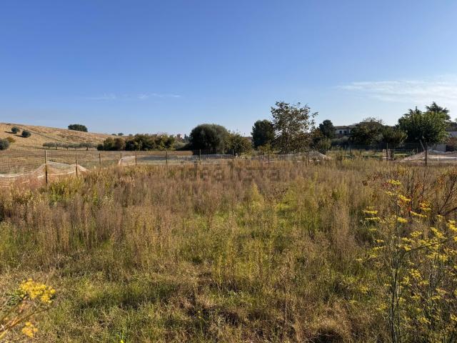Terreno in vendita a Marche, Ancona