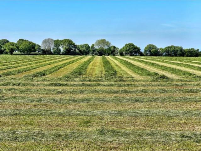Terreno in vendita a Gazzola, Reggio Emilia