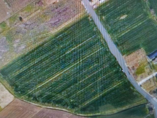 Terreno in vendita a Rimini, Reggio Emilia