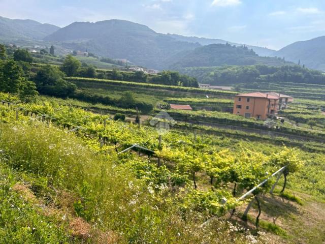 Terreno in vendita a San Peretto, Negrar