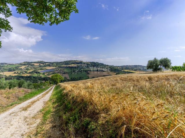 Terreno in vendita a Contrada San Savino, Marche