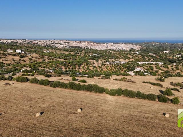 Terreno in vendita a Noto, Sicilia