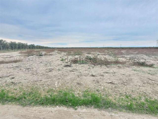 Terreno in vendita a Puglia, Foggia