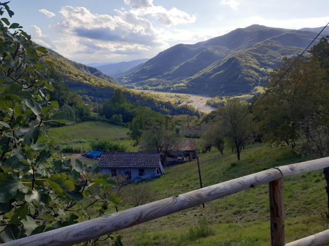Terreno in vendita a Carini, Bettola