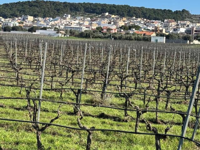 Terreno in vendita a Faggiano, Taranto