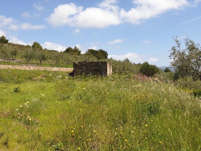 Terreno in vendita a Oliveto, Imperia