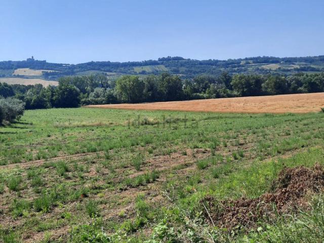 Terreno in vendita a Marche, Fermo