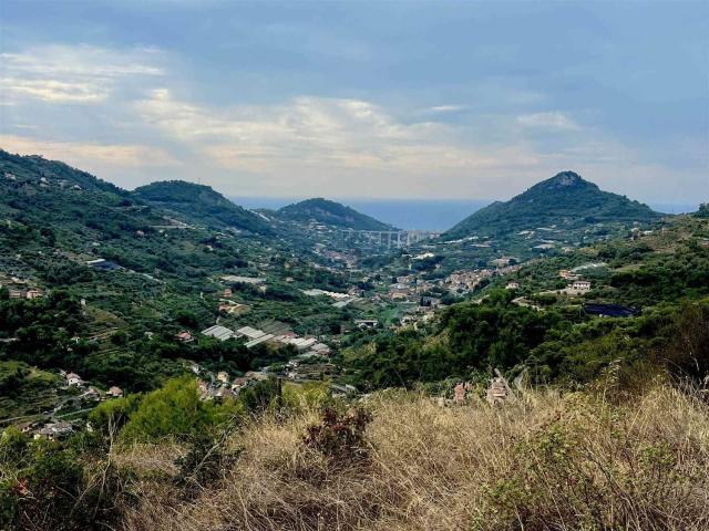 Terreno in vendita a Soldano, Provincia di Imperia