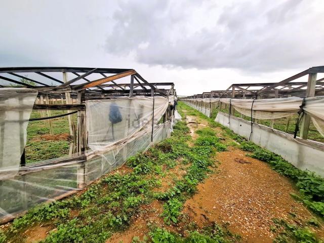 Terreno in vendita a Vittoria, Sicilia