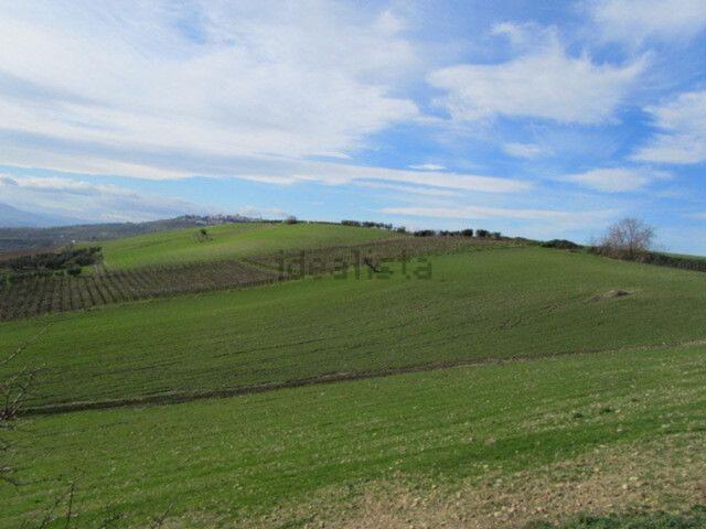 Terreno in vendita a Guglionesi, Molise