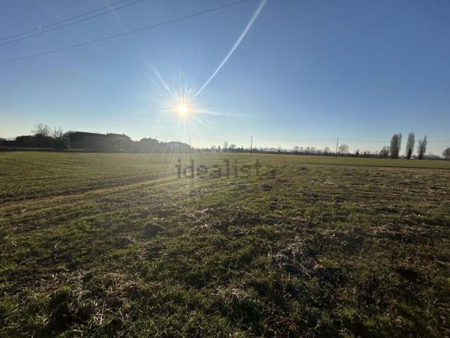 Terreno in vendita a Campodoro, Veneto