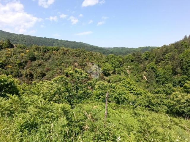 Terreno in vendita a Calabria, Catanzaro