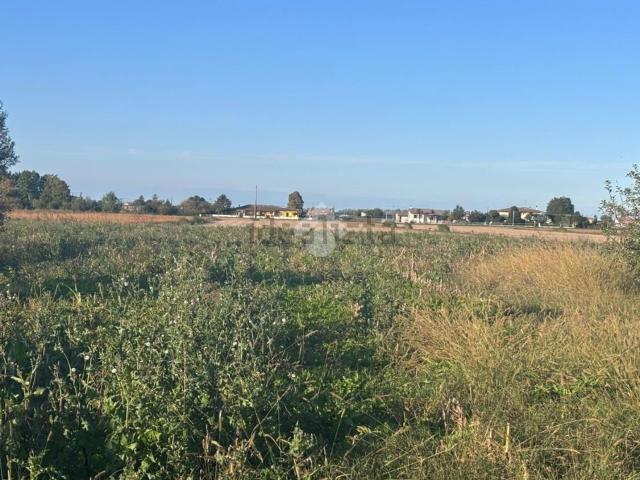 Terreno in vendita a Correzzola, Veneto