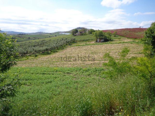 Terreno in vendita a Cupello, Abruzzo