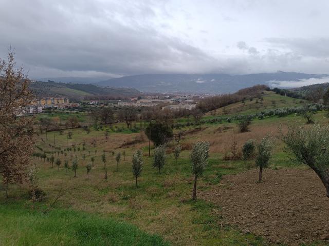 Terreno in vendita a Calabria, Cosenza