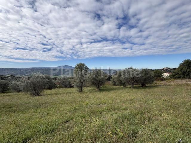 Terreno in vendita a Giove, Umbria