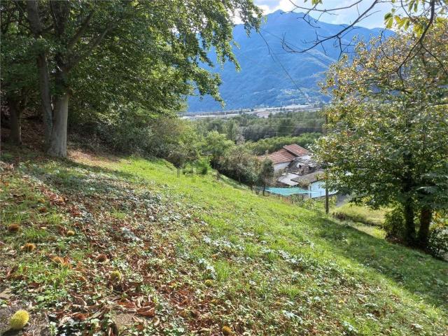 Terreno in vendita a Bannio Anzino, Piemonte