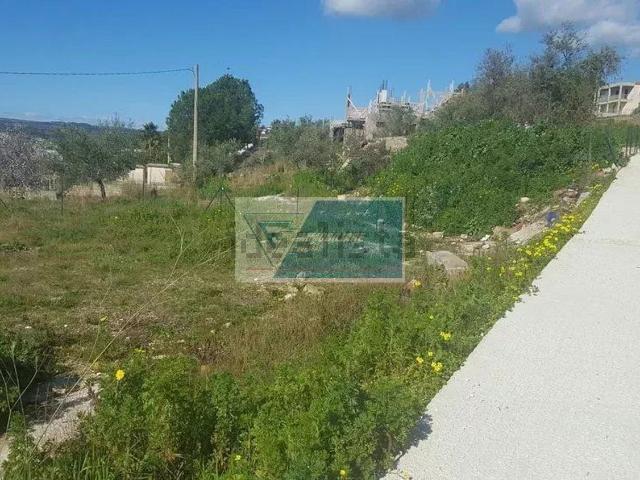 Terreno in vendita a Noto, Sicilia