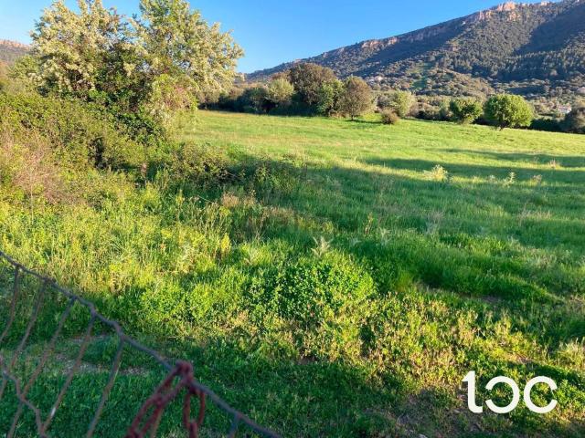 Terreno in vendita a Part'e Sole, Posada