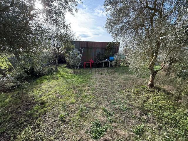 Terreno in vendita a Barbaruta, Monte Argentario