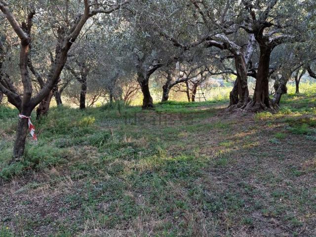 Terreno in vendita a Cellore, Illasi