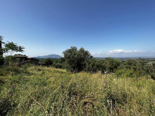 Terreno in vendita a Collevecchio, Lazio