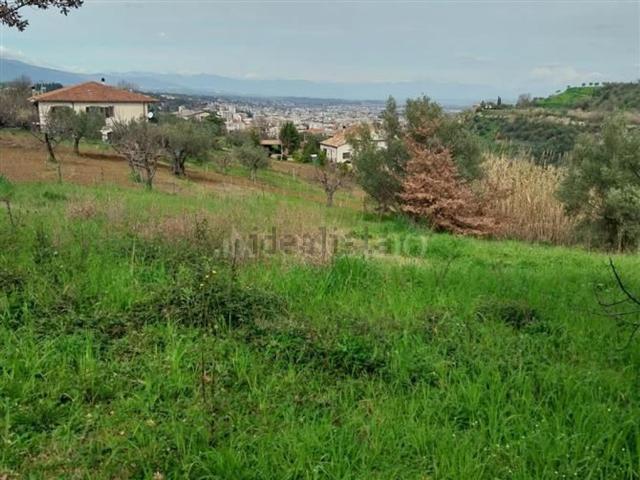Terreno in vendita a Calabria, Cosenza