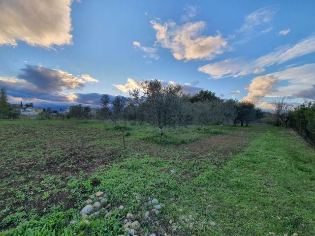 Terreno in vendita a Cepagatti, Abruzzo