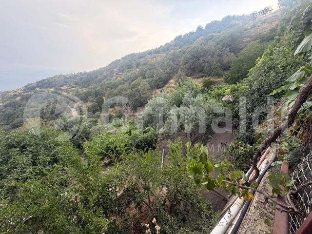 Terreno in vendita a Itala, Sicilia
