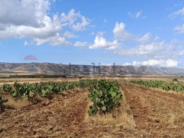 Terreno in vendita a San Giovanni Rotondo, Foggia