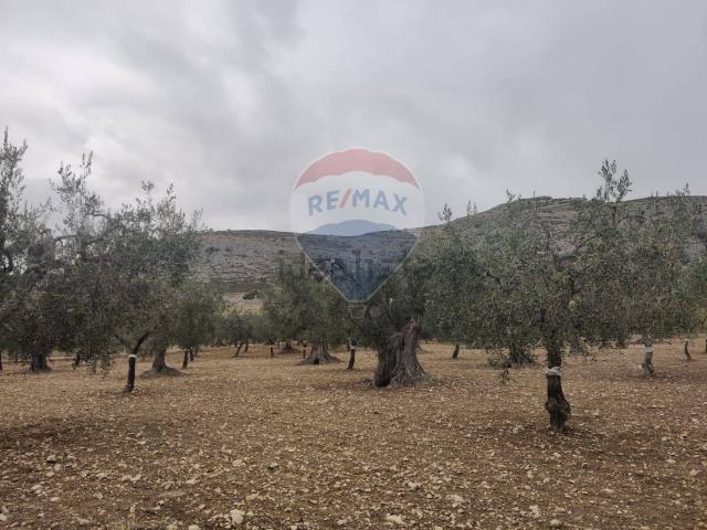 Terreno in vendita a Andria, Barletta-andria-trani
