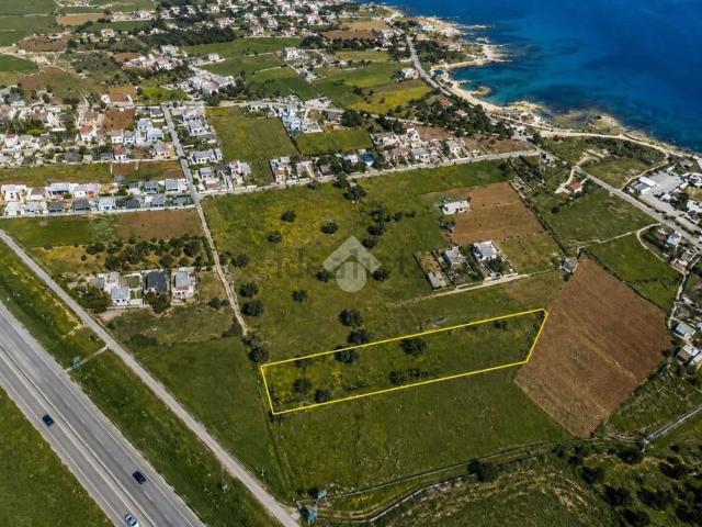 Terreno in vendita a Sant'Elia, Puglia