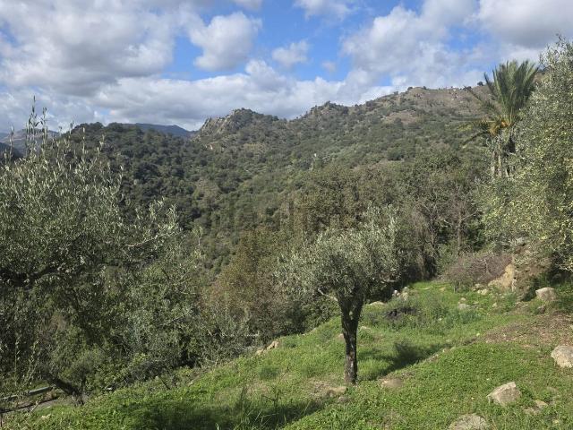 Terreno in vendita a Fondaco Motta, Motta Camastra