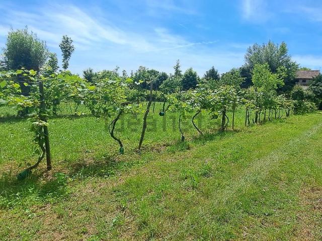 Terreno in vendita a Bolzano Vicentino, Veneto