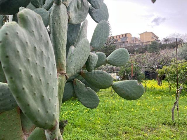 Terreno in vendita a Venetico, Sicilia
