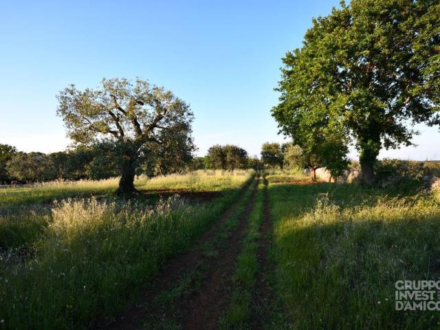 Terreno in vendita a Puglia, Brindisi