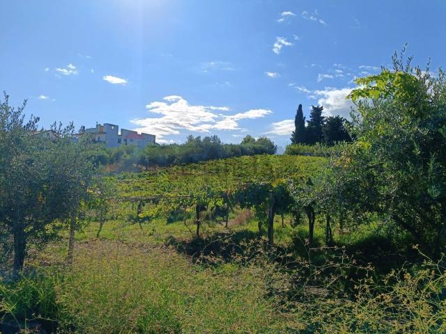 Terreno in vendita a Guastamèroli, Frisa