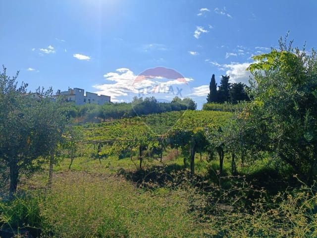Terreno in vendita a Frisa, Abruzzo