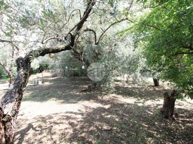 Terreno in vendita a Fara Sabina, Lazio