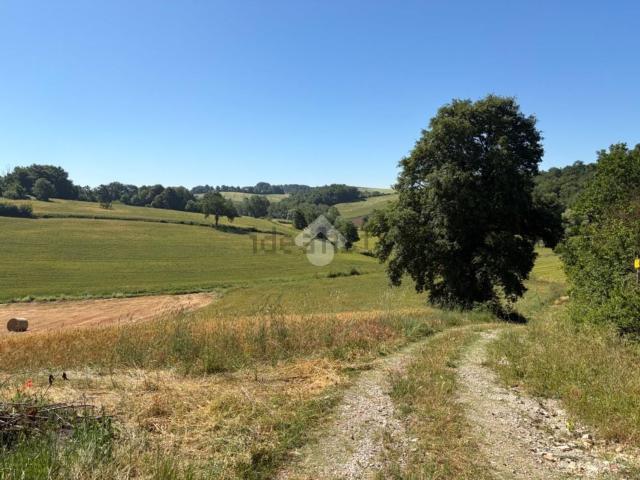 Terreno in vendita a Montecastrilli, Umbria