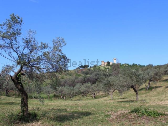 Terreno in vendita a Monteodorisio, Abruzzo