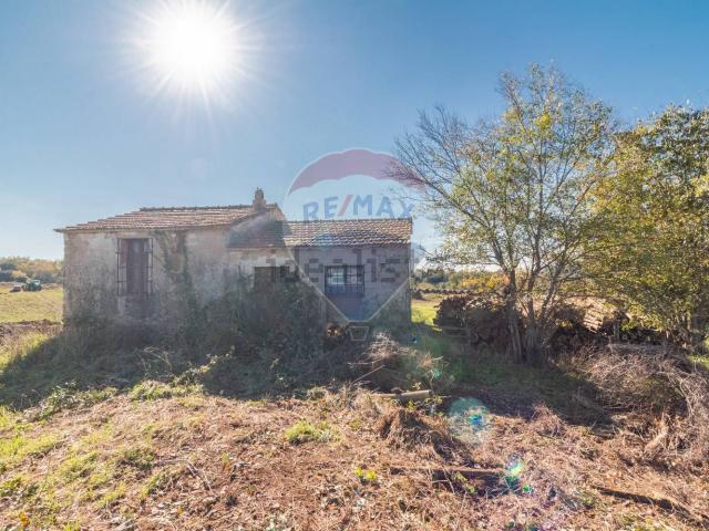 Terreno in vendita a Ischia Di Castro, Lazio