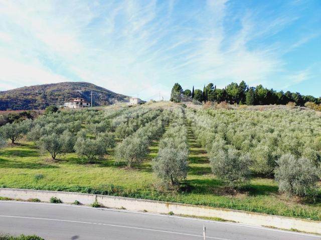 Terreno in vendita a Guardialfiera, Molise