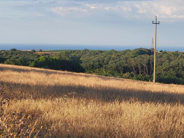 Terreno in vendita a Guglionesi, Molise