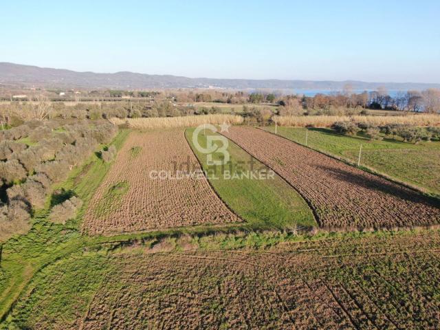 Terreno in vendita a San Lorenzo Nuovo, Lazio