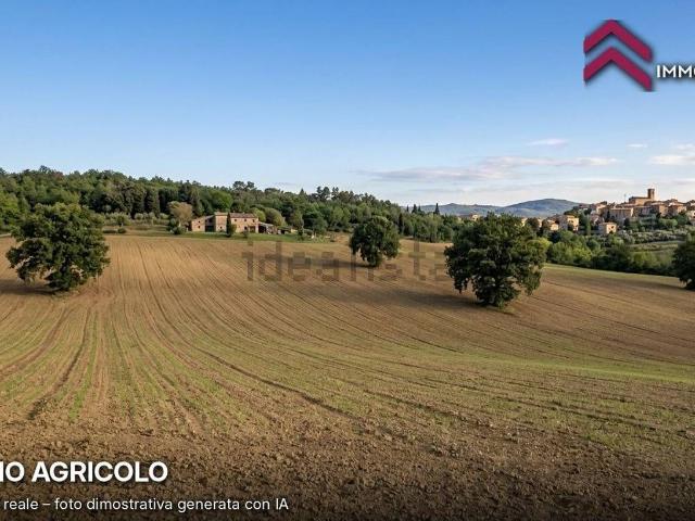 Terreno in vendita a Zona Coscia, San Vincenzo