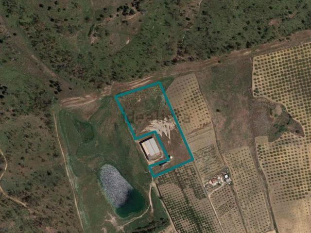 Terreno in vendita a Ribera, Sicilia