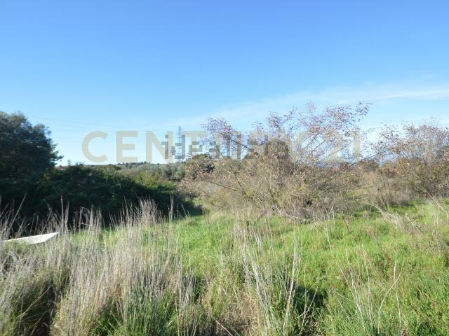 Terreno in vendita a Monte Argentario, Toscana